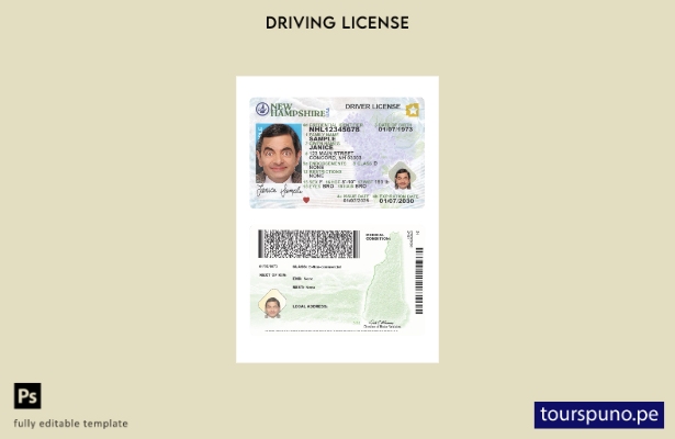 listo para imprimir la plantilla actual del permiso de conducir de New Hampshire